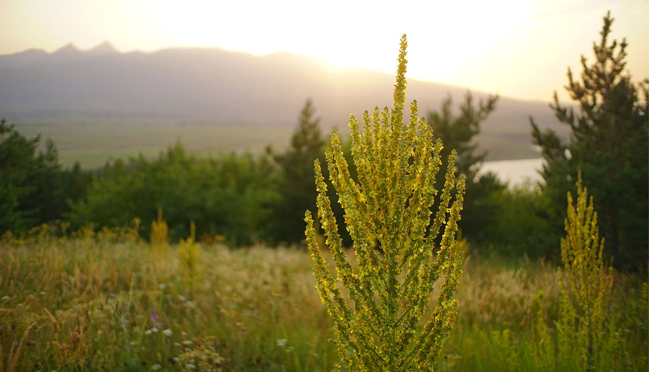 Team Group boss predicts bright future for Imagine post takeover